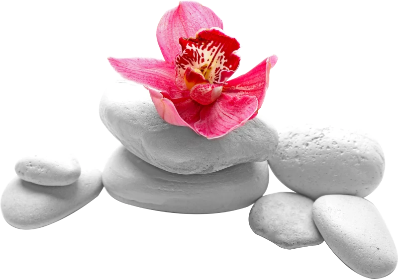Gentle Oncology Massage for Comfort and Healing
